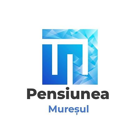 Pensiunea Muresul Târgu-Mureş Exterior foto