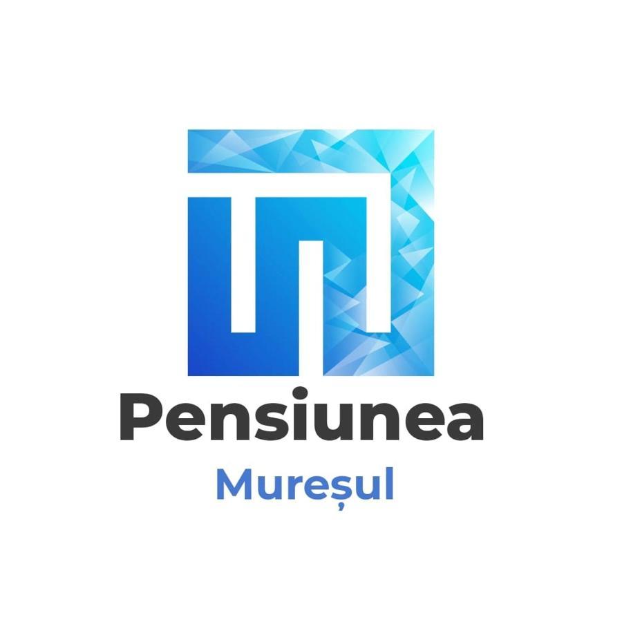 Pensiunea Muresul Târgu-Mureş Exterior foto